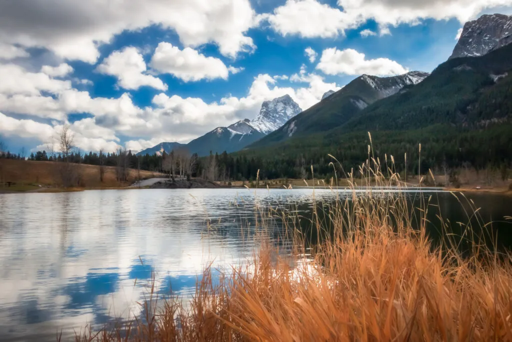 PattiVerse Landscape Photography nature photo gallery Fall Alberta