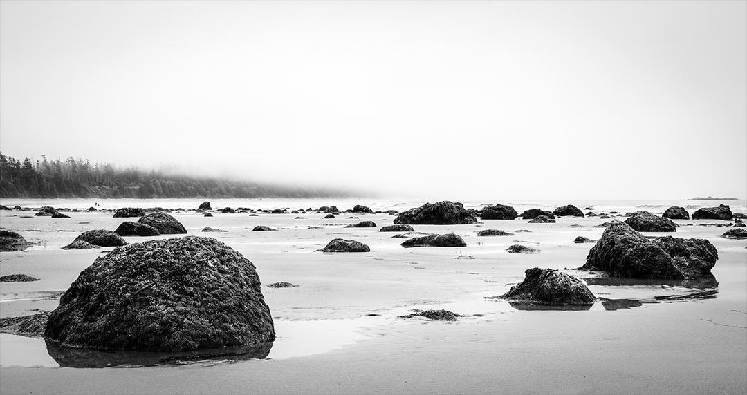 Finding purpose in life fog beach