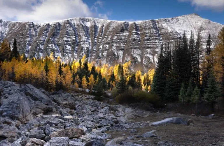 Overcoming Life's Valleys